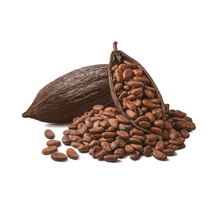 Cocoa Beans 1 metric ton - cocoa