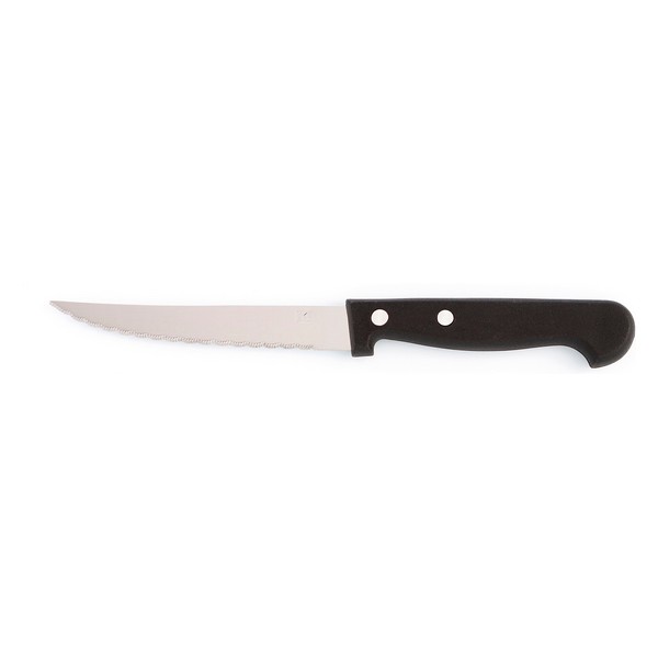 Knife Amefa (21 cm) - knife