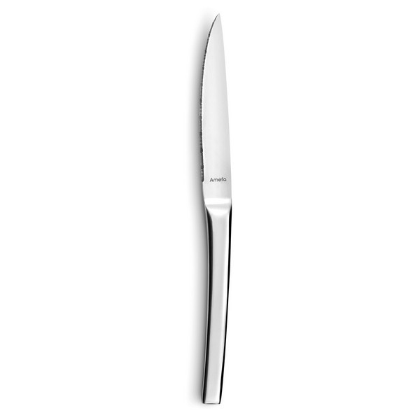 Knife Set Amefa Trilogy (12 uds) - knife