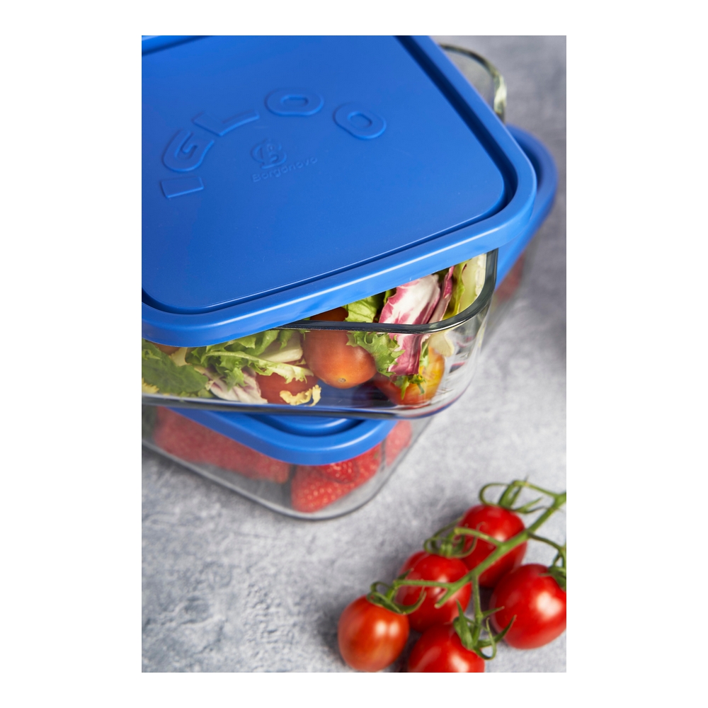 Lunch box Borgonovo Igloo (23,5 x 17,5 x 8 cm) - lunch