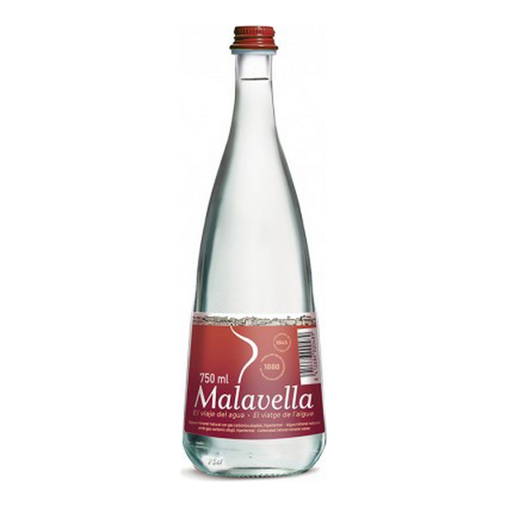 Sparkling Mineral Water Malavella (33 cl) - sparkling