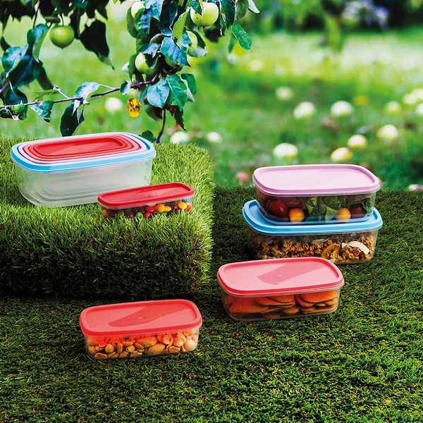 Set of 5 lunch boxes Quid Habitat Plastic - set