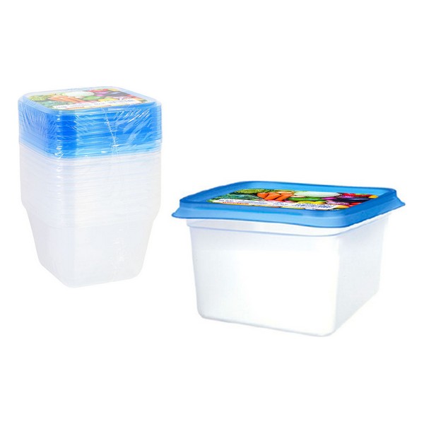 Set of 9 lunch boxes Privilege 550 ml - set