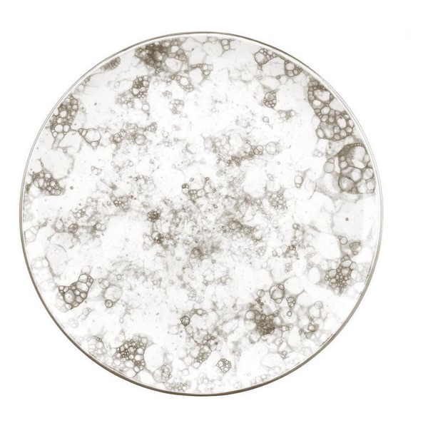 Plate Gourmet Porcelain White/Brown (17,2 x 2 cm) - plate