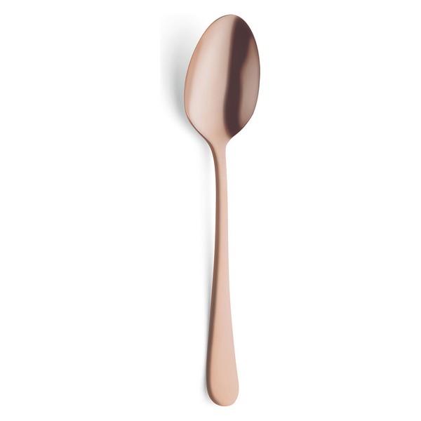 Set of Spoons Amefa (12 uds) - set