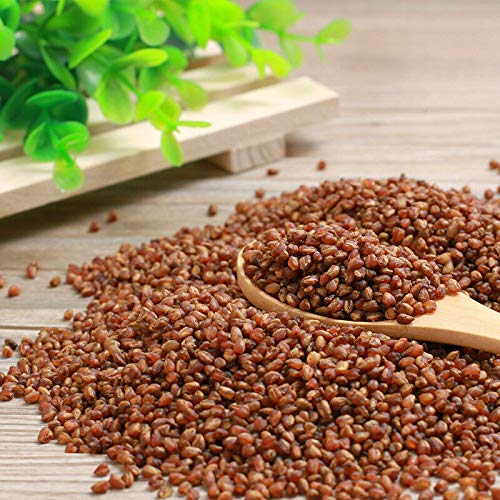 Premium Roasted Organic Natural Soba Black Tartary Buckwheat Tea Grain Herbal Tea China Healty Tea 500g - 016071184044