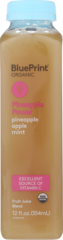 Organic Pineapple Power Fruit Juice Blend, Pineapple Apple Mint - 020487007323