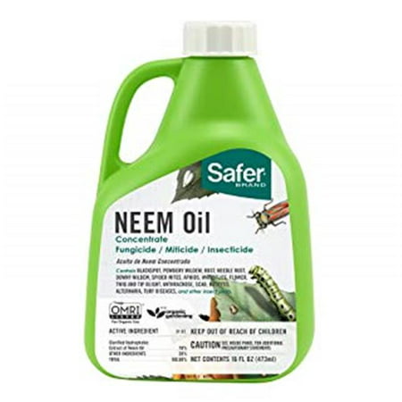 Safer Brand 5182-6 Neem Oil Concentrate Insecticide, Miticide, Fungicide for Plants - Kills Insects and Mites and Controls Fungal Disease - OMRI Listed for Organic Use (B079M1RRY7) - 024654518261