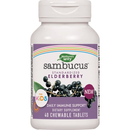 Nature s Way Sambucus For Kids 40 Chwbls - 033674129616