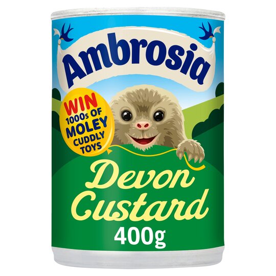 Devon Custard - 5000354800870