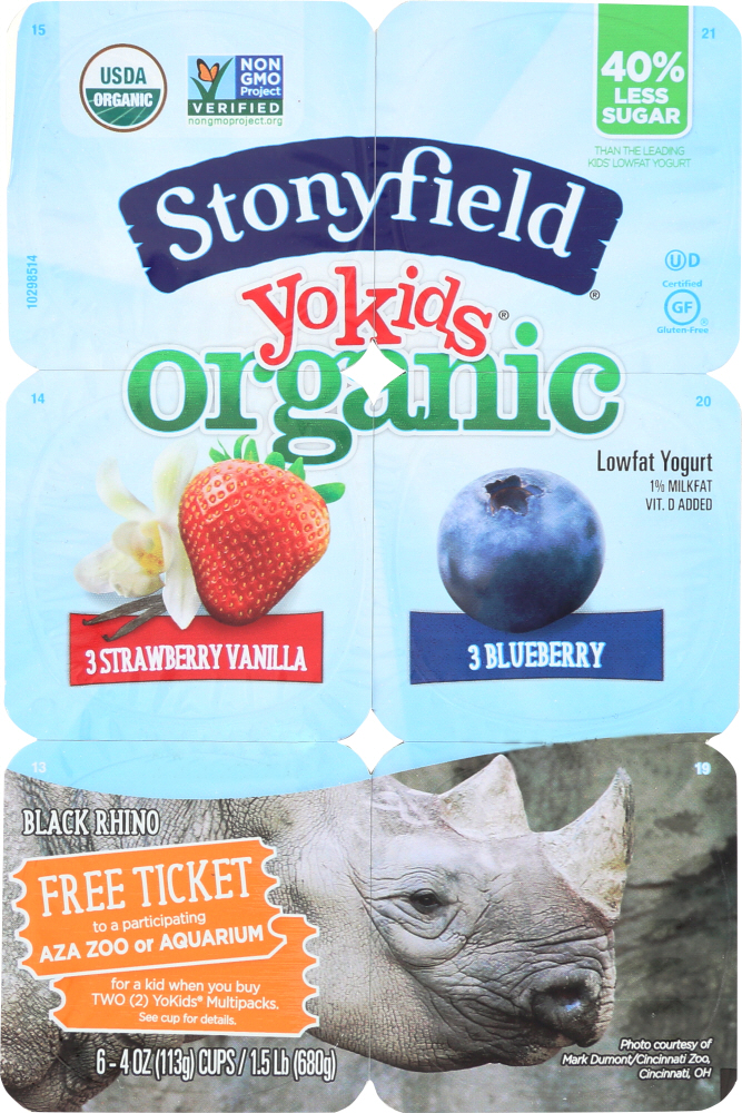 STONYFIELD: YoKids Yogurt Lowfat Organic Blueberry Strawberry Vanilla 6 Count, 24 oz - 0052159090043