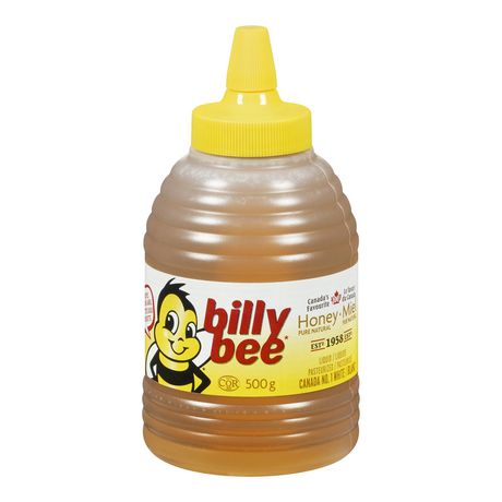 BILLY BEE: Bee Hive Honey Squeeze, 16 oz - 0058500000259
