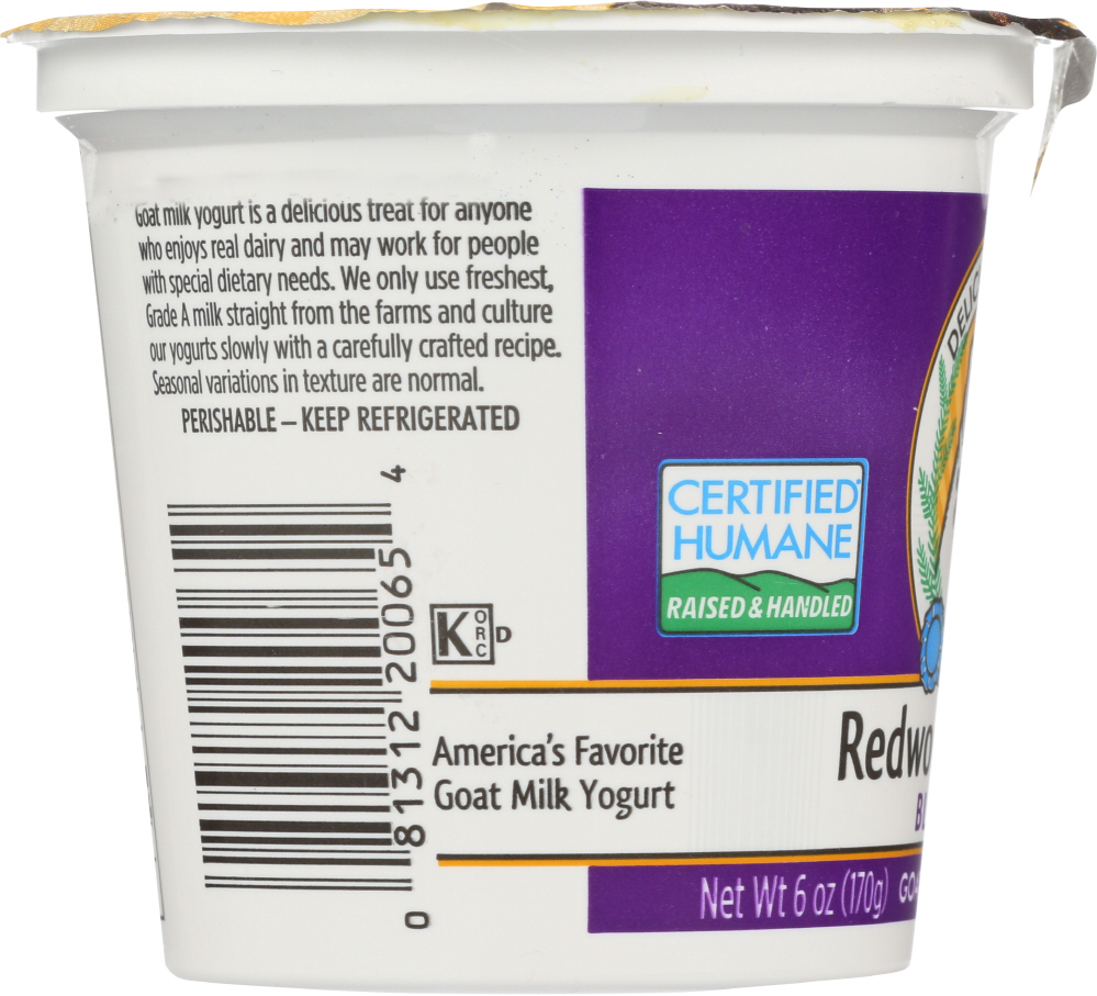 REDWOOD HILL FARM: Blueberry Goat Milk Yogurt, 6 oz - 0081312200654