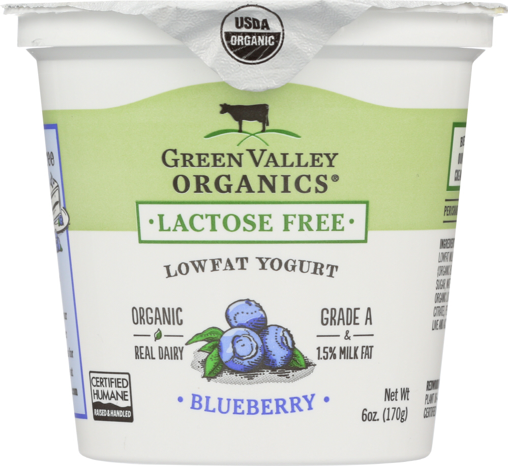 Green Valley Organics, Lactose Free Low Fat Yogurt, Blueberry - 081312300033