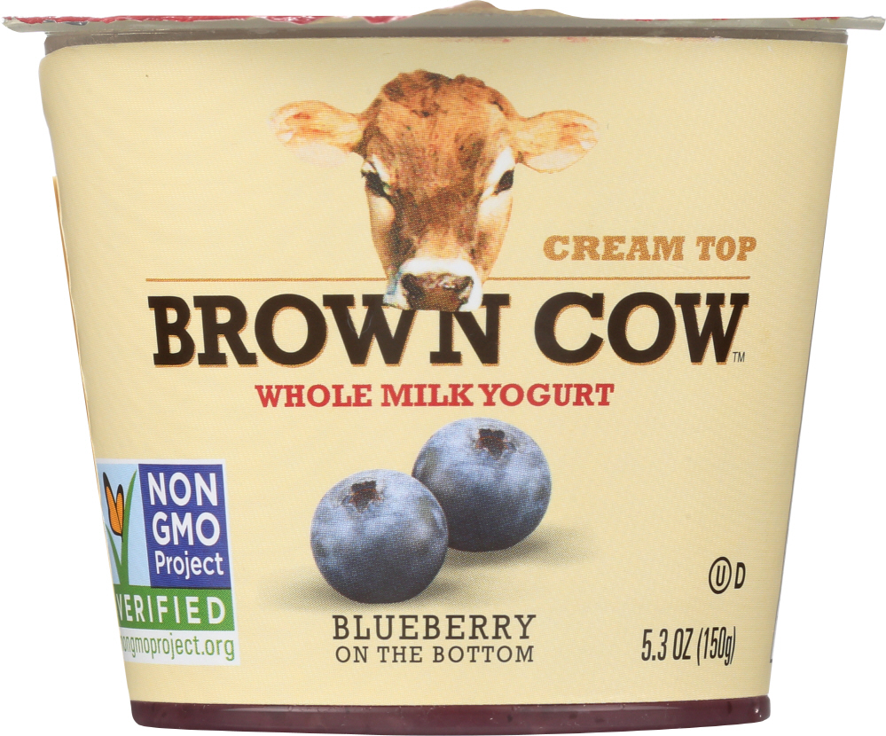 BROWN COW: Yogurt Blueberry On The Bottom Cream Top, 5.3 oz - 0088194340034