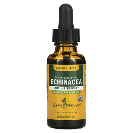 Herb Pharm - Echinacea Extract - 1 oz. - 090900000620