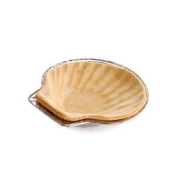 Pidy - Tartelettes 