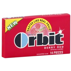 Orbit Gum - 22000011800