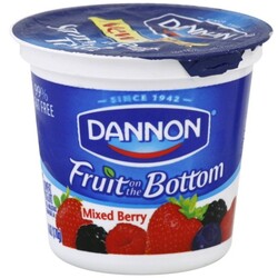 Dannon Yogurt - 36632001160