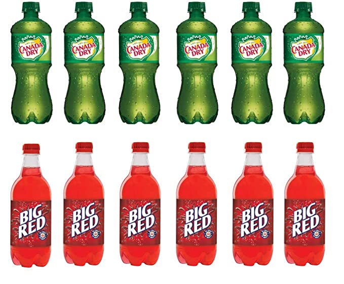  LUV BOX-Variety Soft Drinks Pack , 20 oz , Pack of 12,CANADA DRY GINGER ALE , Big Red  - 370621491564