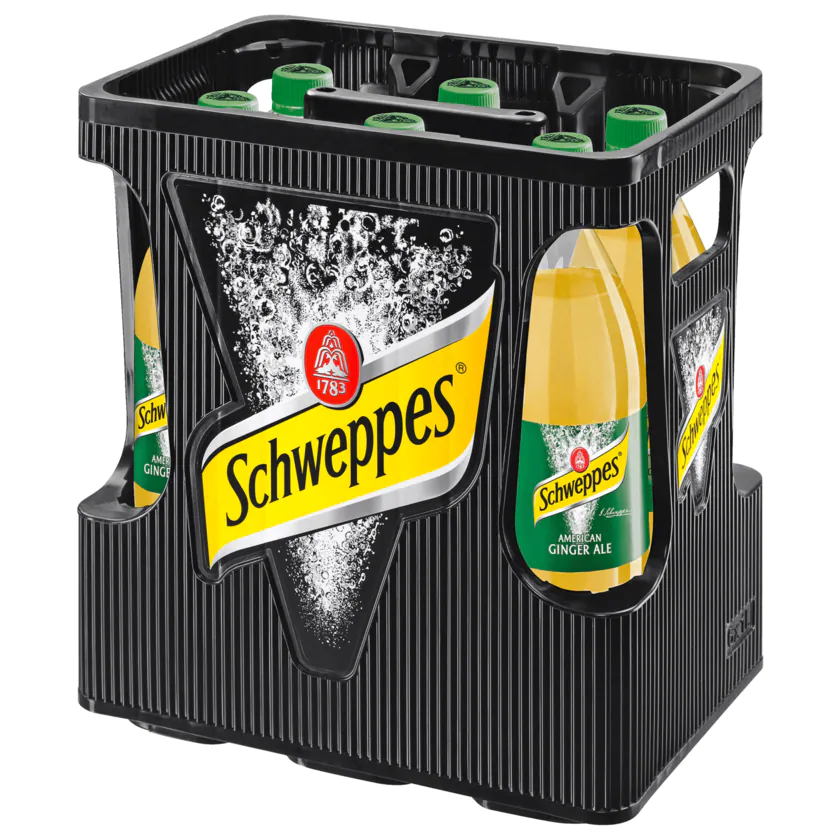 Schweppes Ginger Ale 6x1l - 4000140700538