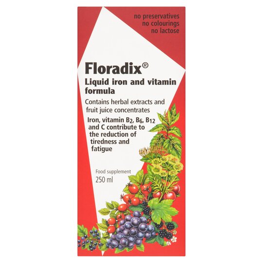 Floradix Fer + Plantes - 250 ML - Salus - 4004148057076
