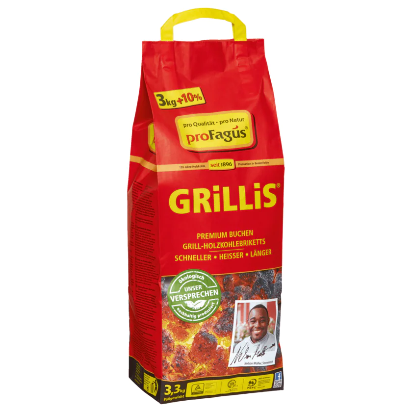 Profagus Grill-Holzkohlebriketts Grillis 3,3kg - 4006131033043