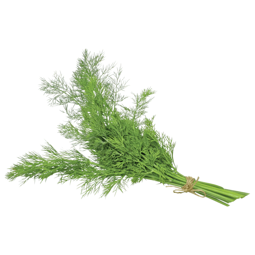 REWE Regional Dill REWE.de - 4260456873023