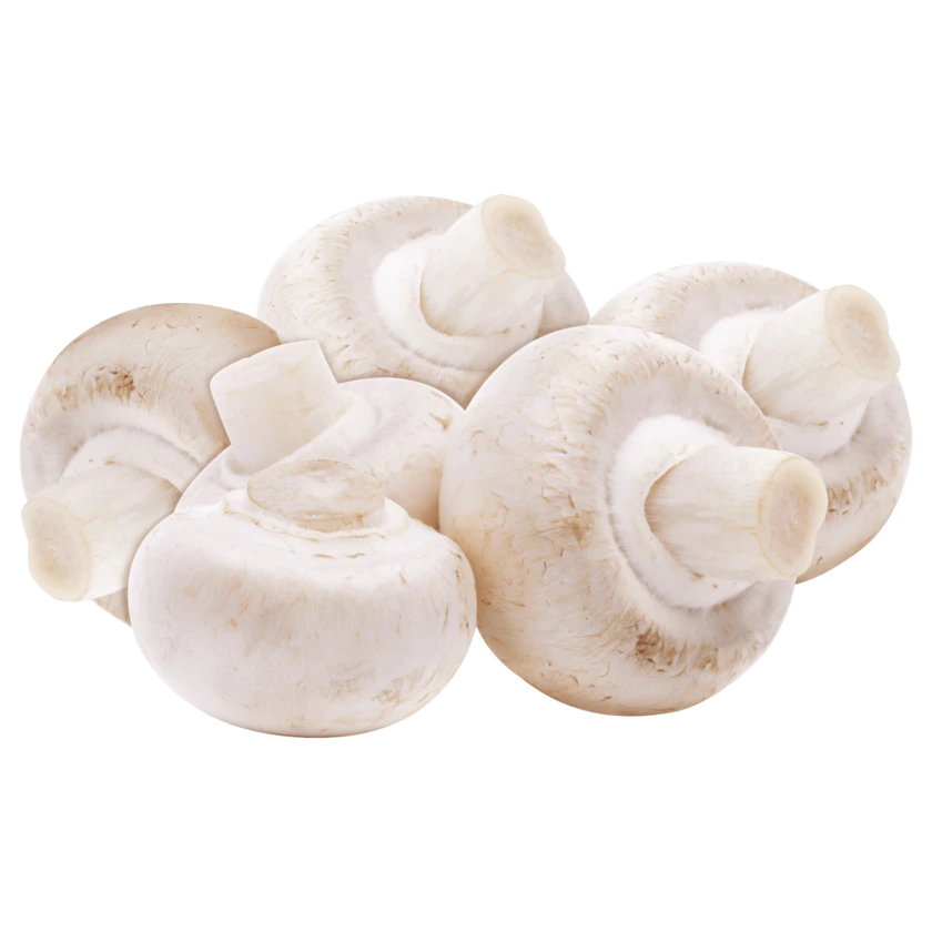 Foodtainer Bio Champignons weiß 250g - 4388860081855