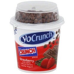 YoCrunch Yogurt - 46675000723