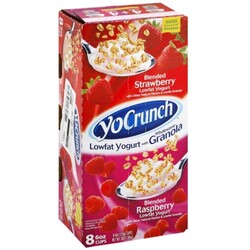 YoCrunch Yogurt - 46675014010