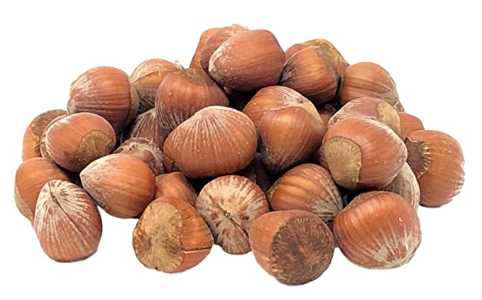  NUTS U.S. - Oregon Hazelnuts In shell | Whole, Raw and Unsalted | No Added Flavor and NON-GMO | Fresh Buttery Taste and Easy to Crack | Natural Unshelled Hazelnuts Packed in Resealable Bags!!! (2 LBS)  - 619681486456