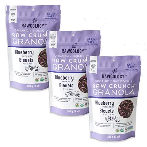 Rawcology Organic, Keto, Grain Free Raw Crunch Granola - Blueberry with Acai, 3 x 200 Gram Pack - 628504873083