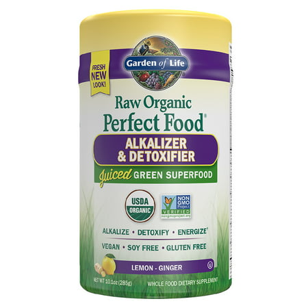 Garden of Life Raw Organic Alkalizer & Detoxifier Green Superfood Powder Lemon Ginger 10.1oz - 658010117142