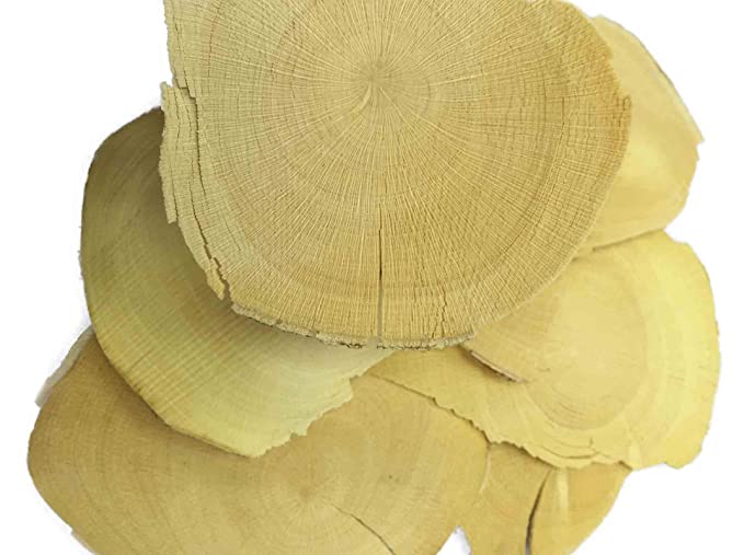 Dried herbs Tongkat Ali Pasak Bumi 東革阿里 东革阿里Free worldwide AIR MAIL (500 grams) - 673463559509