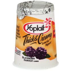 Yoplait Yogurt - 70470001357