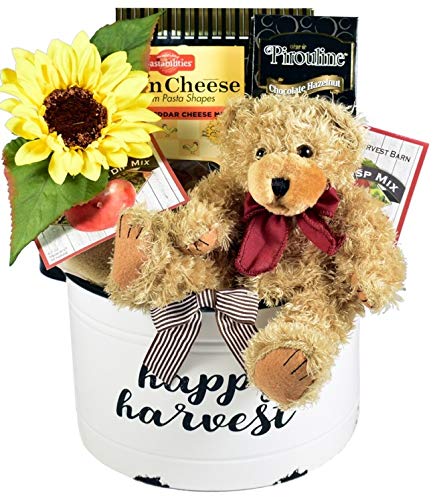  Happy Harvest, Fall Gift Basket in Painted Metal Planter with Plush Bear and Gourmet Treats  - 705332273534