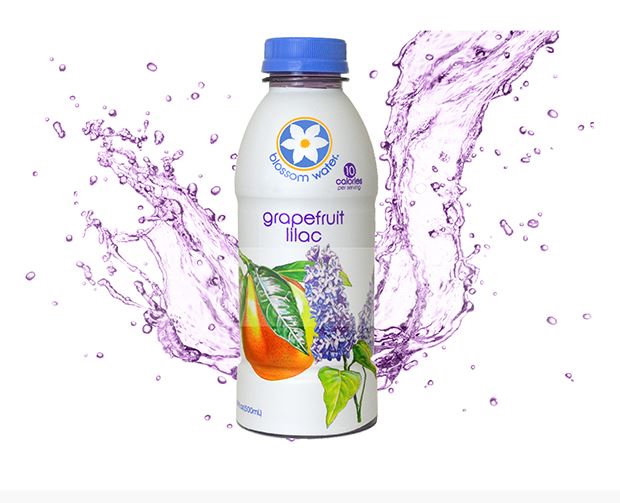 BLOSSOM WATER: Lilac Grapefruit Water, 16 oz - 0728028208603