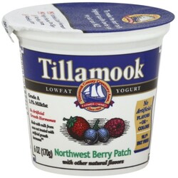 Tillamook Yogurt - 72830400008