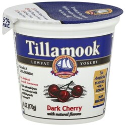 Tillamook Yogurt - 72830400091