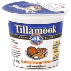 Tillamook Yogurt - 72830400107
