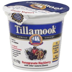 Tillamook Yogurt - 72830400237