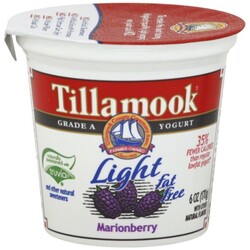 Tillamook Yogurt - 72830400275