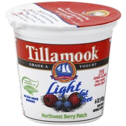 Tillamook Yogurt - 72830400312