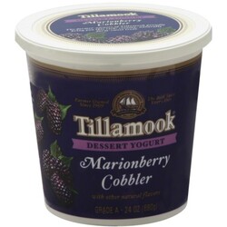 Tillamook Dessert Yogurt - 72830403047