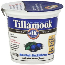 Tillamook Yogurt - 72830403139