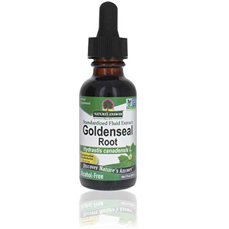 Nature's Answer Goldenseal Root Herbal Supplement Supports A Healthy Immune System Gluten-Free & Alcohol-Free 1oz (2 Pack) - 730669184956
