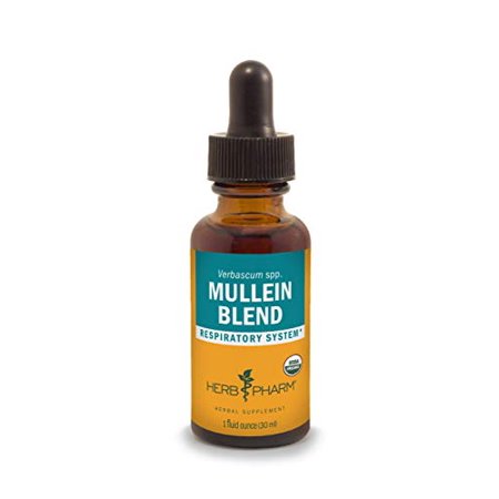 Herb Pharm Certified Organic Mullein Blend Extract for Respiratory System Support - 1 Ounce (DMULL01) - 764442446306