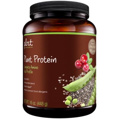 plnt Chocolate Plant Protein Powder with Complete Amino Acid Profile Raw Protein Blend, Easy to Digest Provides Energy, 19g of Protein Per Serving (1 Pound Powder) - 766536033218