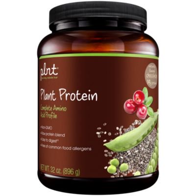 plnt Chocolate Plant Protein Powder with Complete Amino Acid Profile Raw Protein Blend, Easy to Digest Provides Energy, 19g of Protein Per Serving (2 Pound Powder) - 766536034017